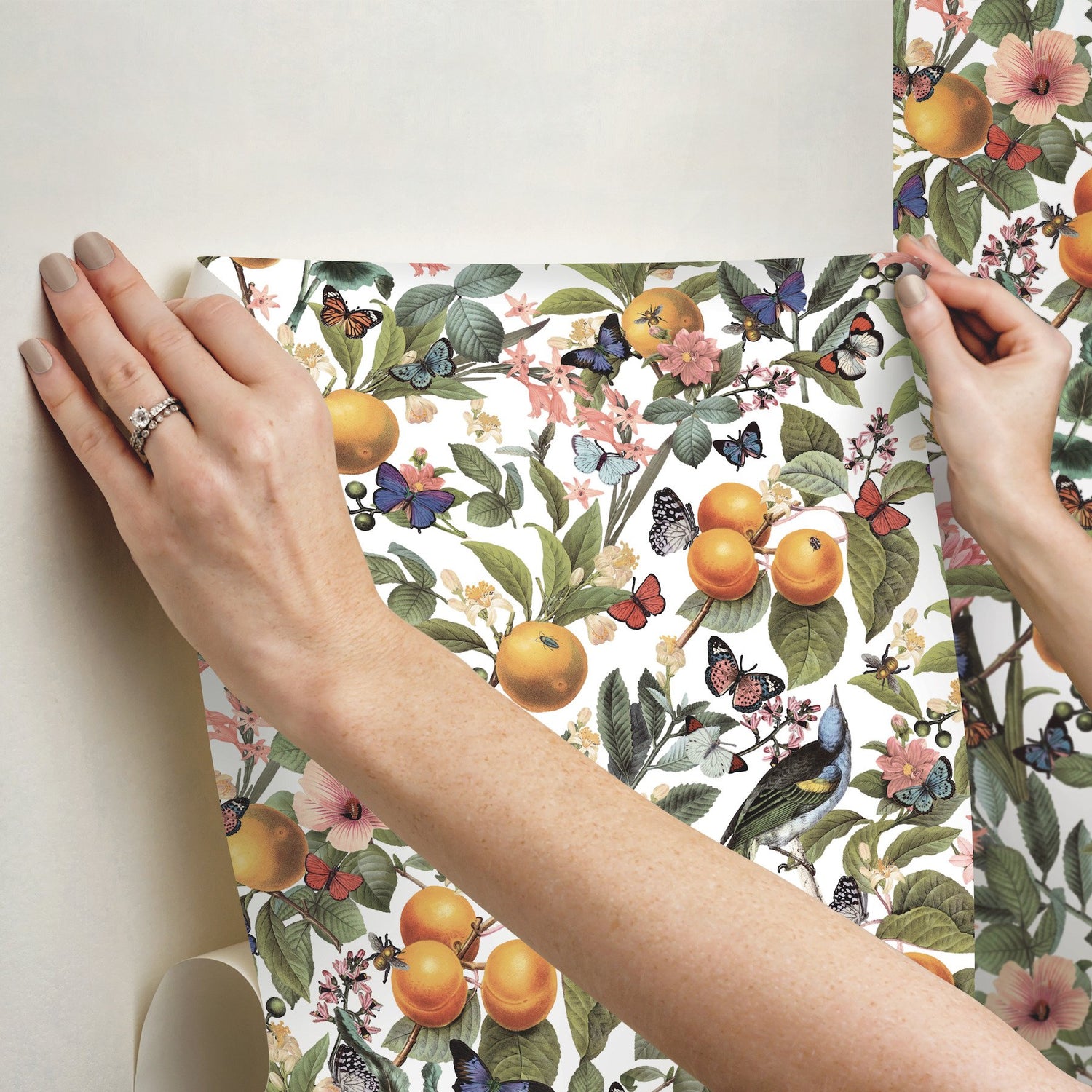 Citrus White Peel & Stick Wallpaper with Fruit and Botanical Motif - York RMK12345PL