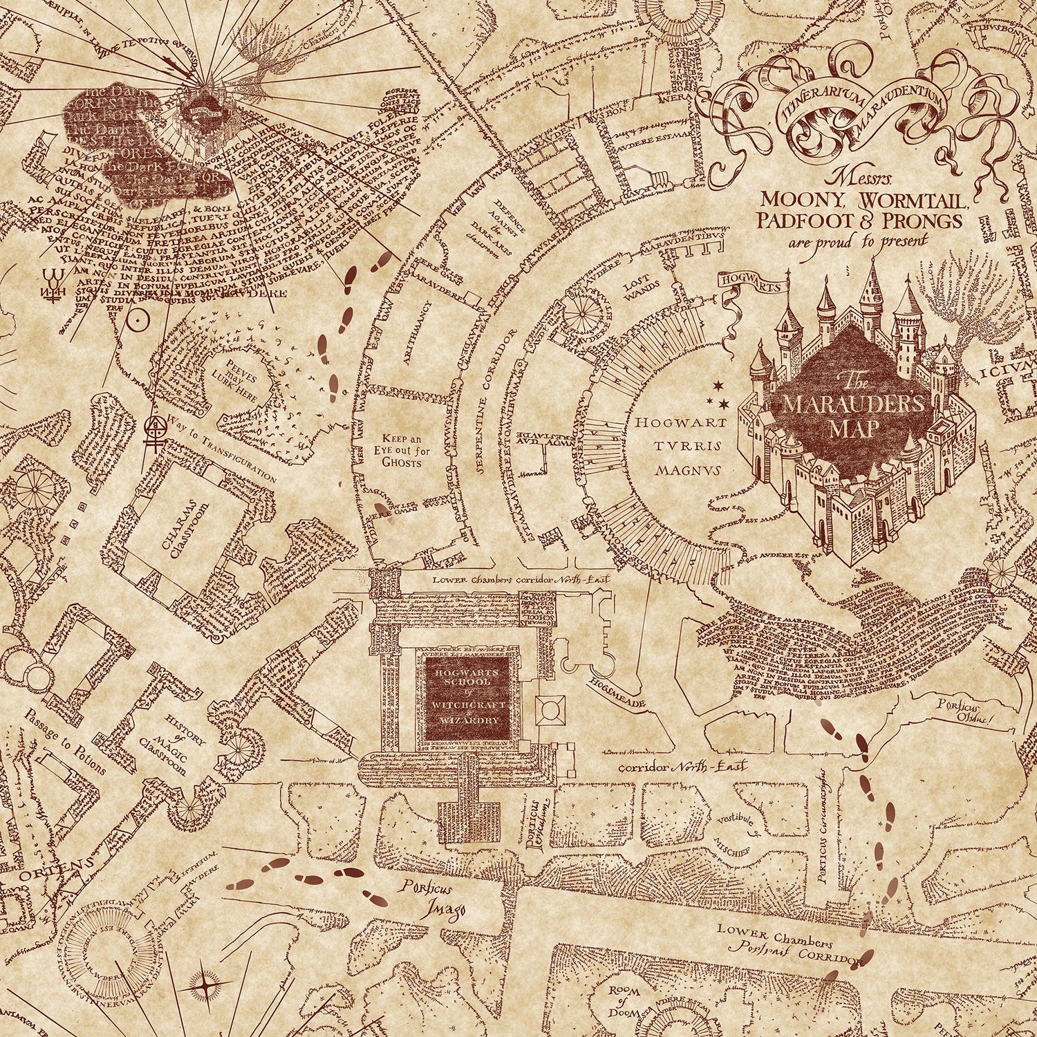 Harry Potter Marauder's Map Sepia Peel & Stick Wallpaper with Vintage Map Motif - York RMK12435RL