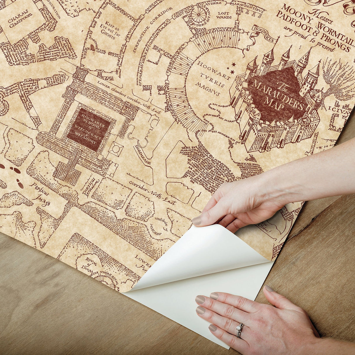 Harry Potter Marauder's Map Sepia Peel & Stick Wallpaper with Vintage Map Motif - York RMK12435RL