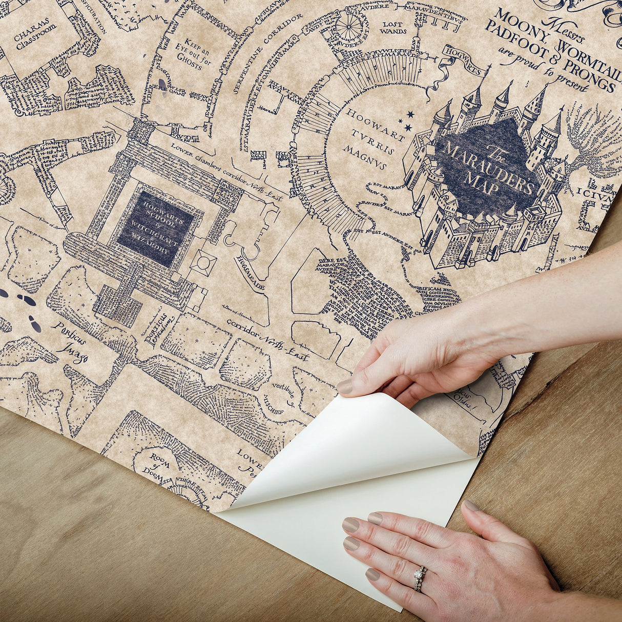 Harry Potter Marauder's Map Blue Peel & Stick Wallpaper with Novelty Kids Pattern - York RMK12436RL