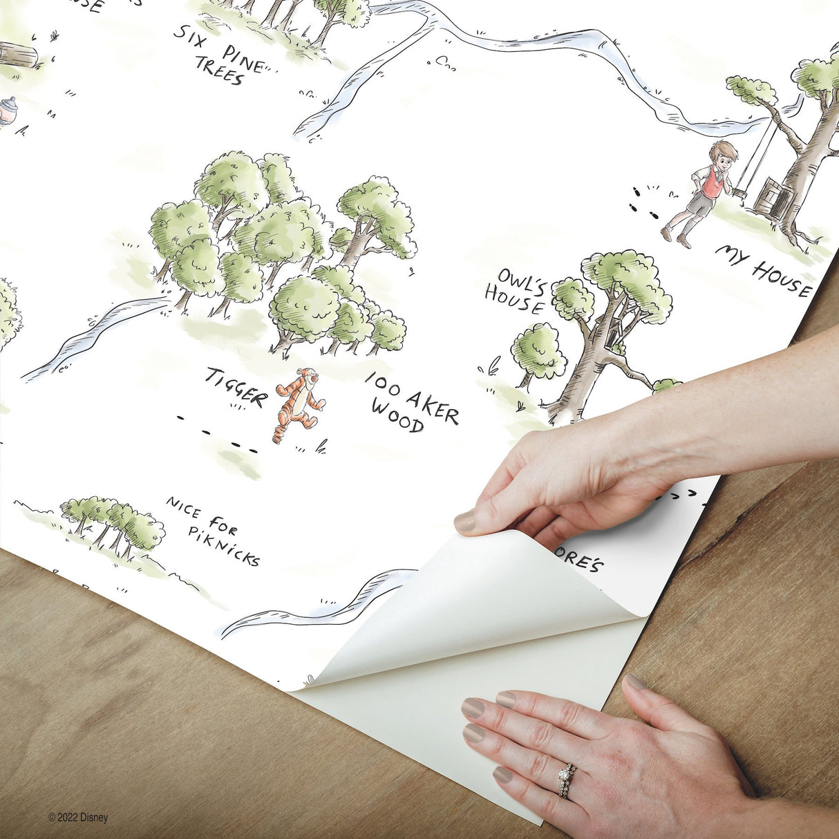 Winnie The Pooh 100 Acre Wood Map Multicolor Peel & Stick Wallpaper with Licensed Disney Map Motif - York RMK12440RL