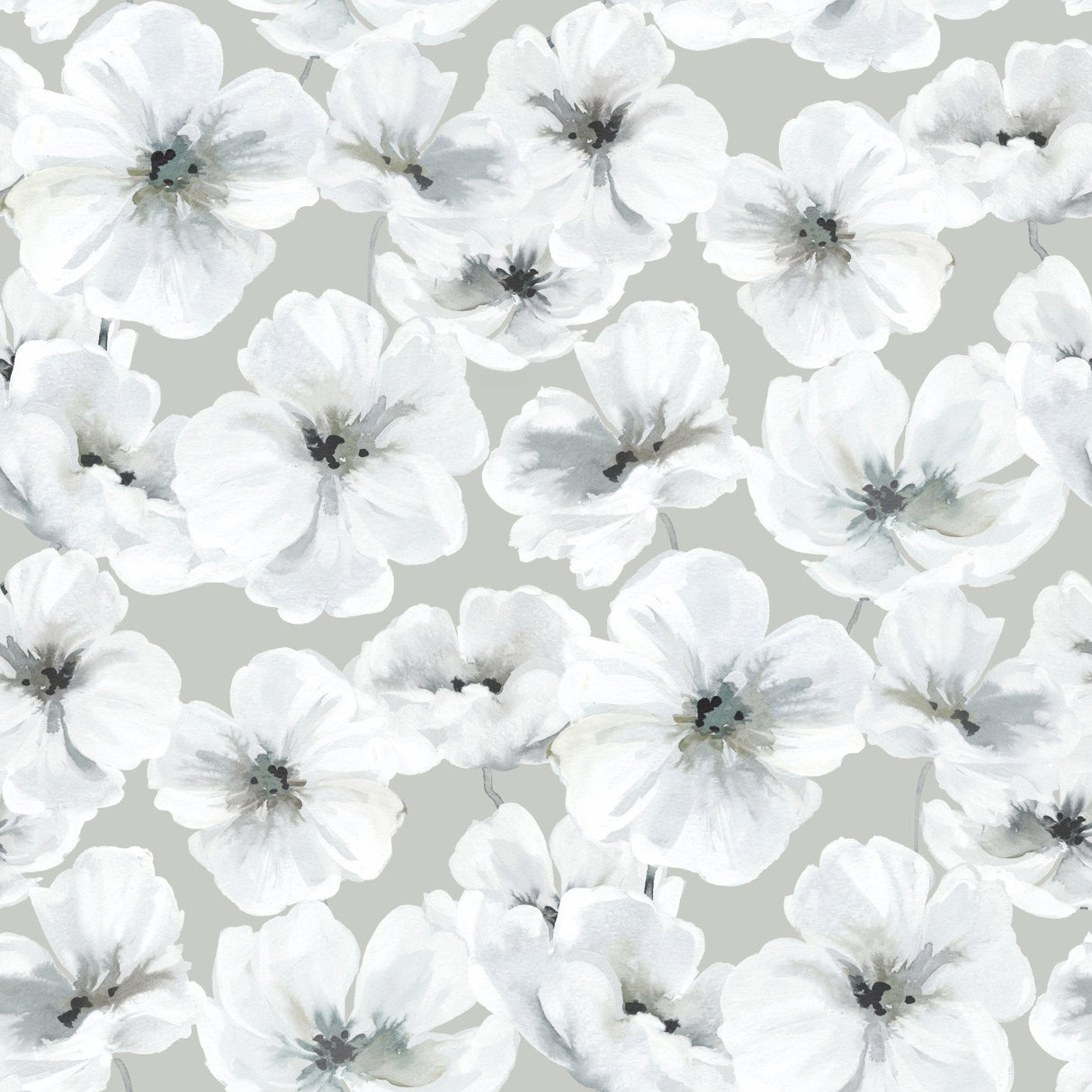 Hawthorn Blossom Grey Peel & Stick Wallpaper with Modern Botanical Floral Pattern - York RMK12514RL