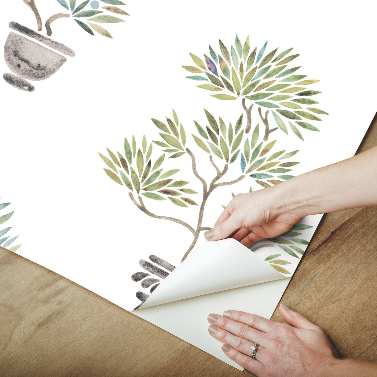 Cat Coquillette Bonsai Soft Green/Blue Peel & Stick Vinyl Wallpaper with Botanical Bonsai Pattern - York RMK12646RL