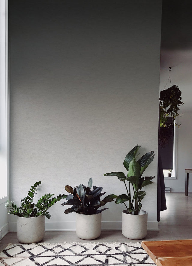 Aura Ombre Charcoal Peel & Stick Wall Mural with Modern Ombre Gradient - York RMK12656MW