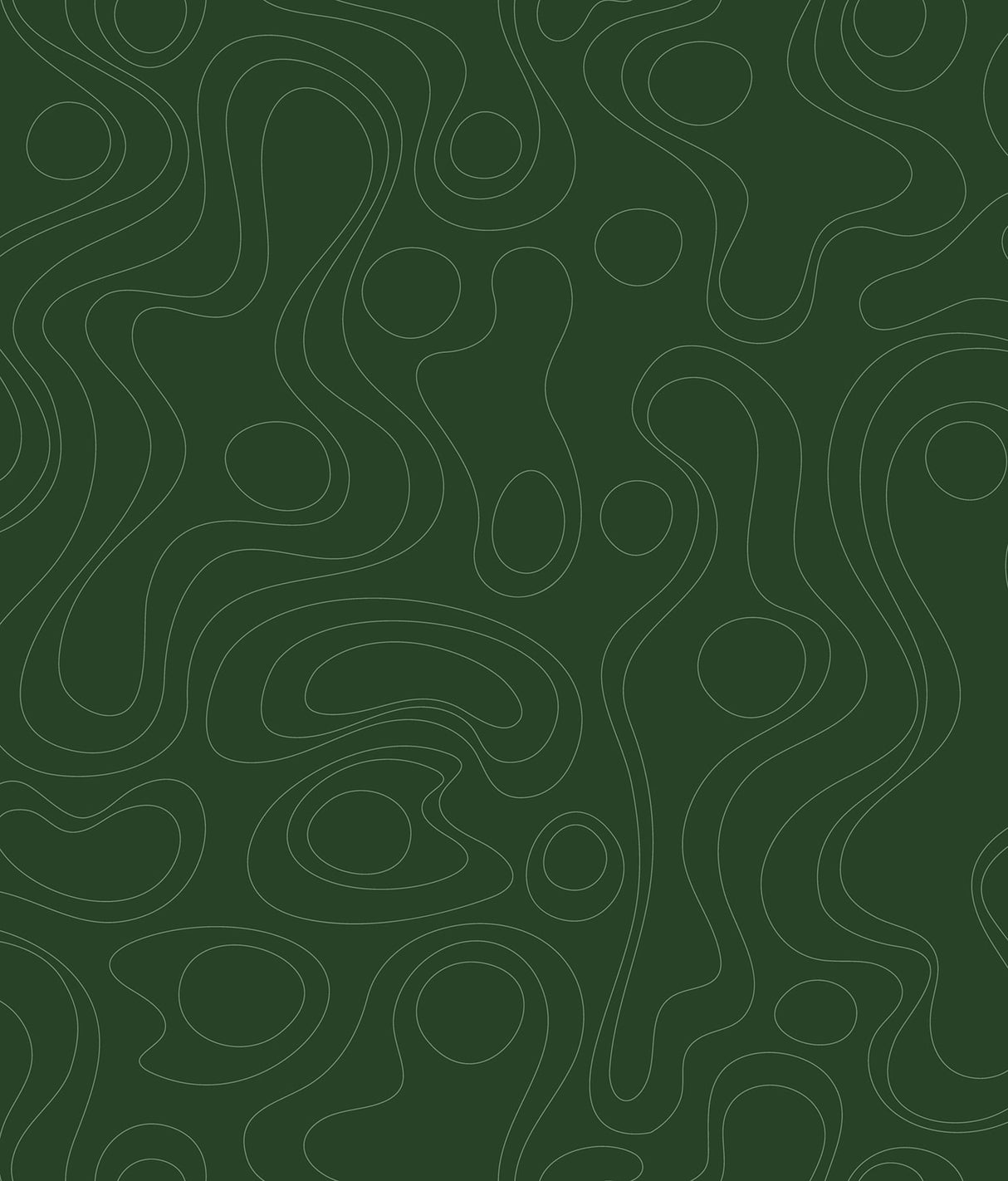 Lineation Green Peel & Stick Wallpaper with Modern Geometric Graphics - York RMK12737PLW