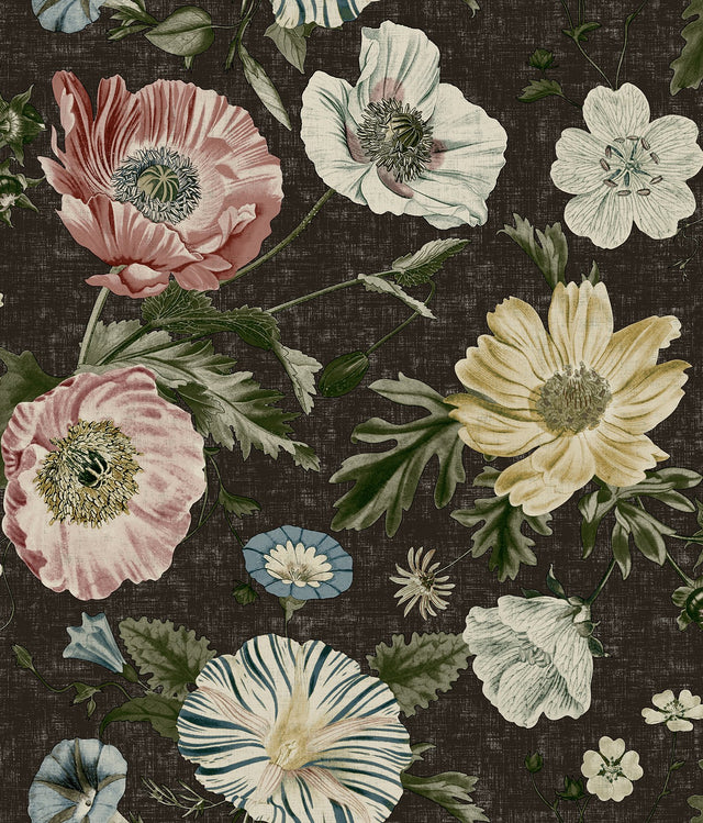 Vintage Poppy Black Peel & Stick Wallpaper with Floral Graphics - York RMK12810PL