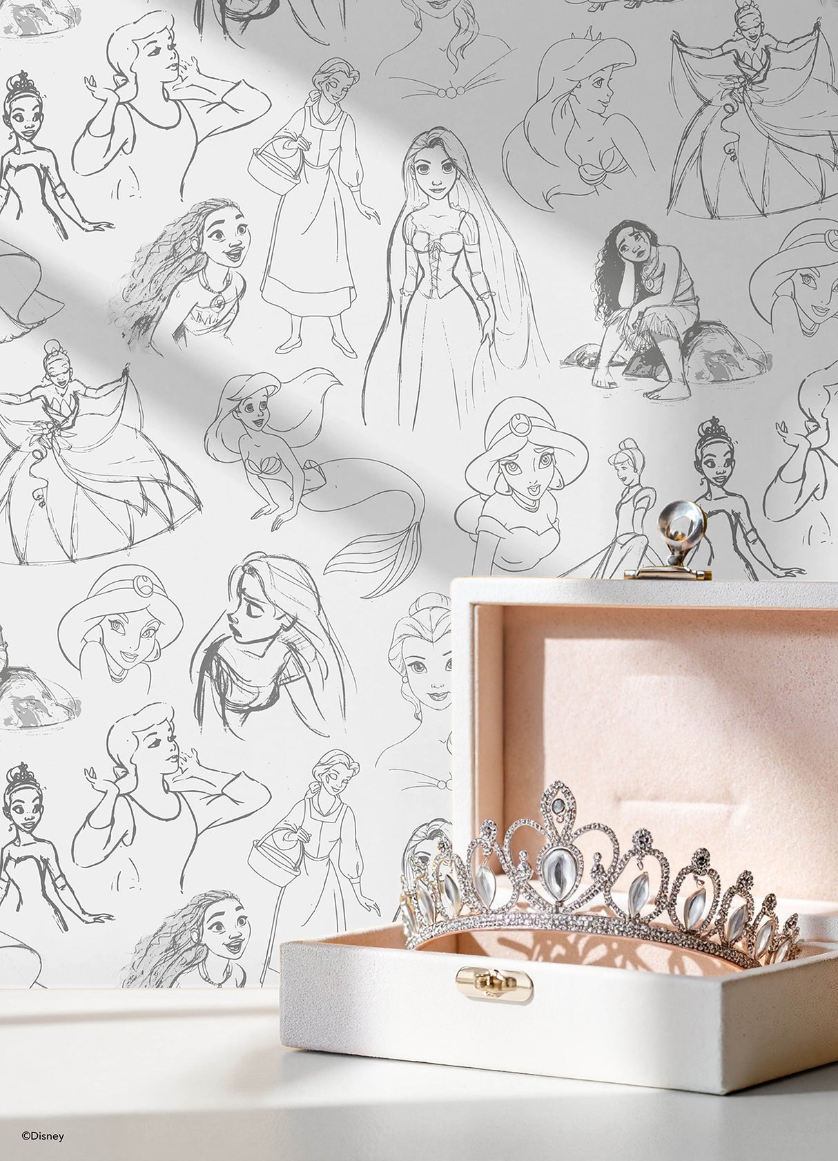 Disney Princess Sketches Charcoal by RoomMates Peel and Stick Wallpaper - RMWS1379