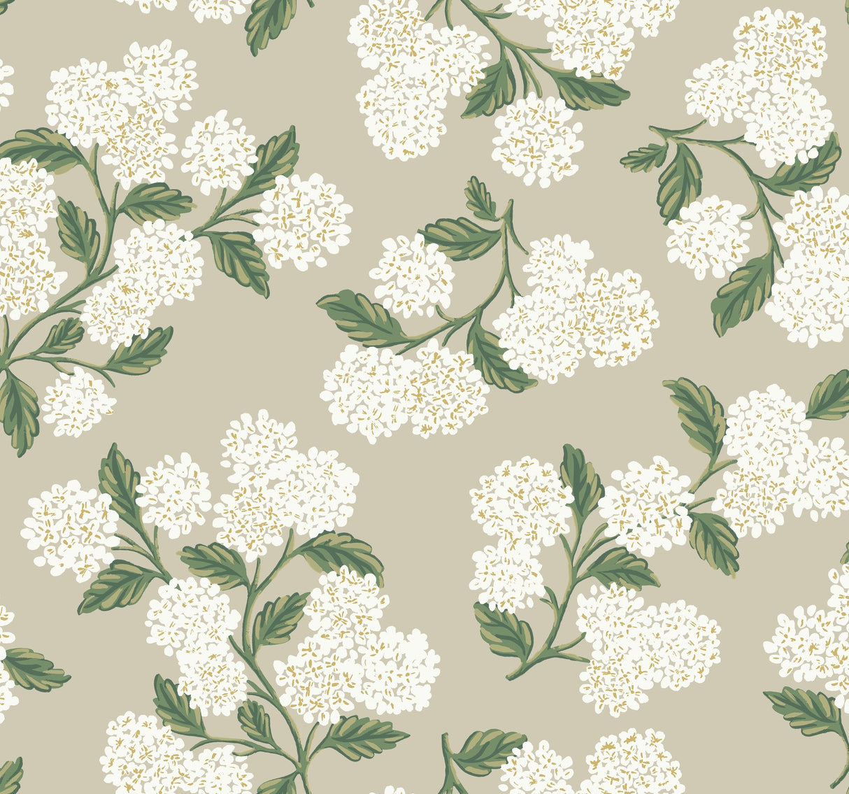 Hydrangea Beige Wallpaper with Floral Hydrangea Motif - York RP7394