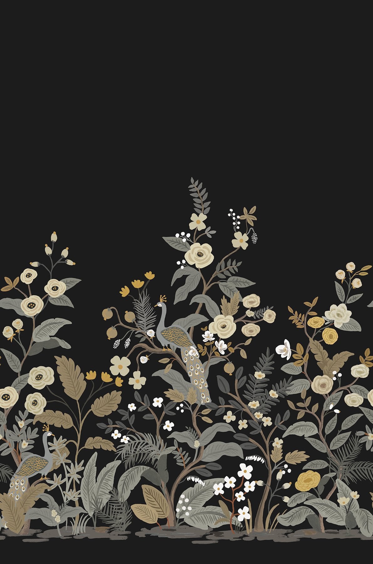 Peacock Black Wall Mural with Feature Wall Animal Motif - York RP7399M