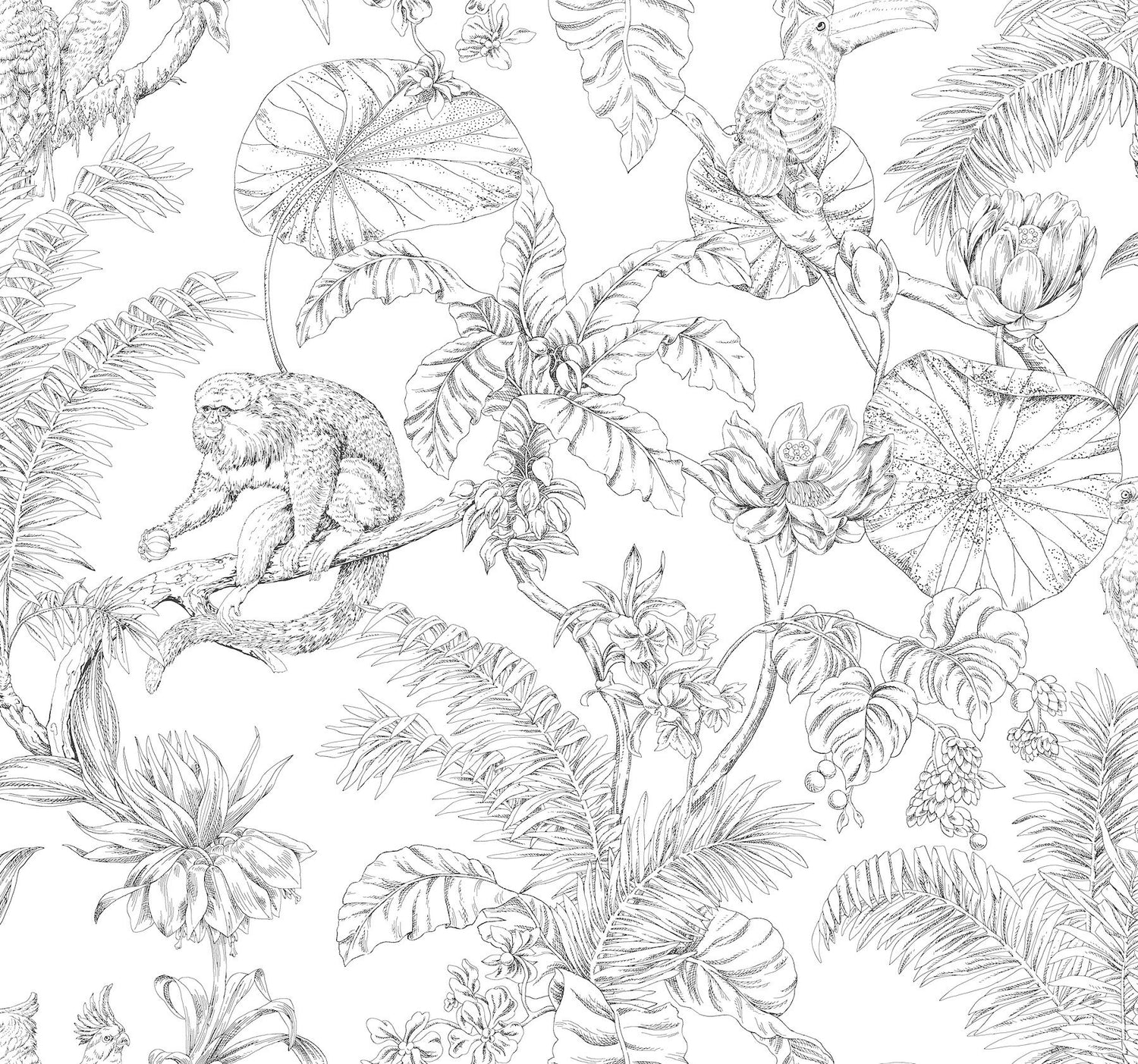 Tropical Sketch Toile Black Wallpaper with Eclectic Toile Pattern - York RT7841