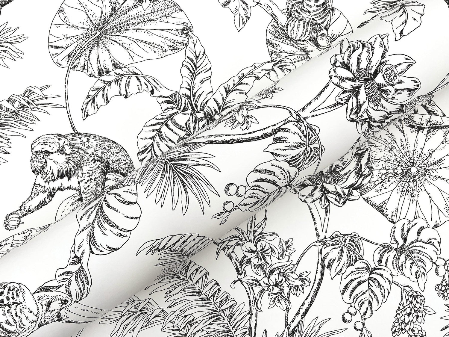 Tropical Sketch Toile Black Wallpaper with Eclectic Toile Pattern - York RT7841