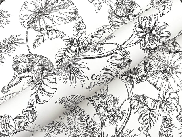 Tropical Sketch Toile Black Wallpaper with Eclectic Toile Pattern - York RT7841