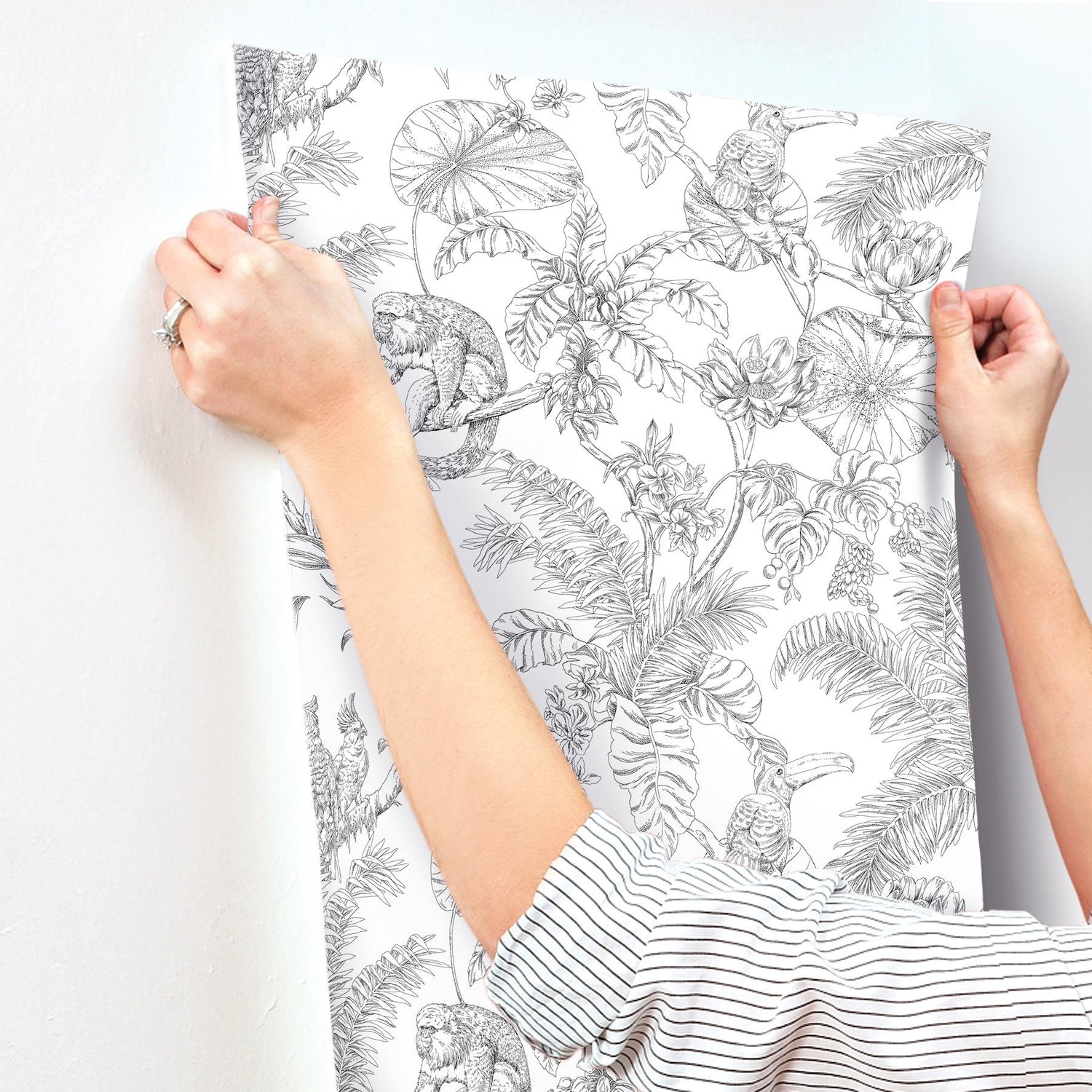 Tropical Sketch Toile Black Wallpaper with Eclectic Toile Pattern - York RT7841