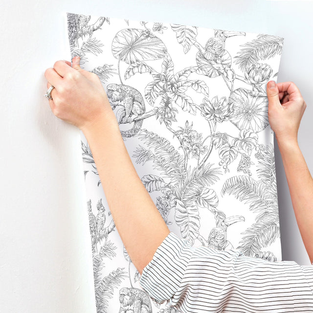 Tropical Sketch Toile Black Wallpaper with Eclectic Toile Pattern - York RT7841