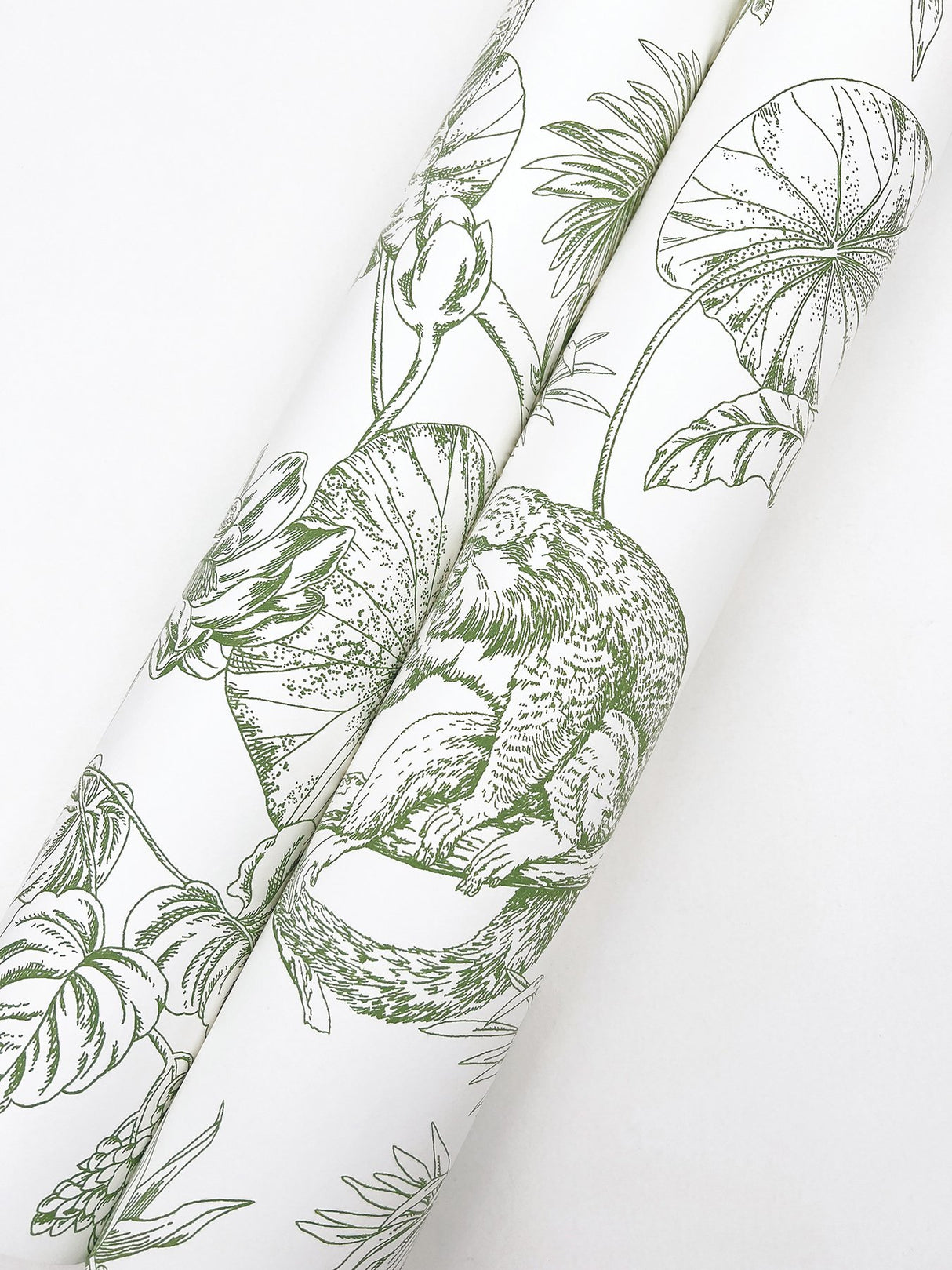 Tropical Sketch Toile Forest Wallpaper with Eclectic Toile Motif - York RT7842