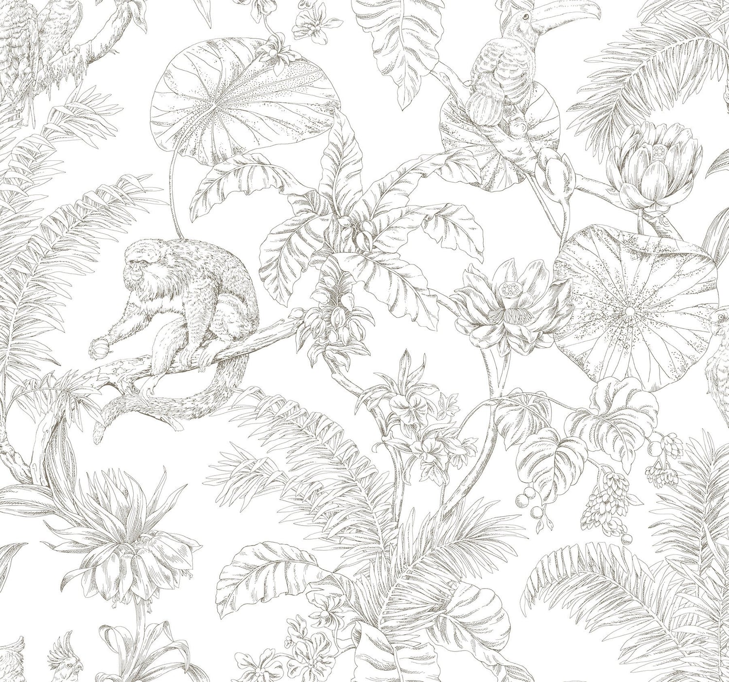 Tropical Sketch Toile Brown Wallpaper with Eclectic Toile Pattern - York RT7843