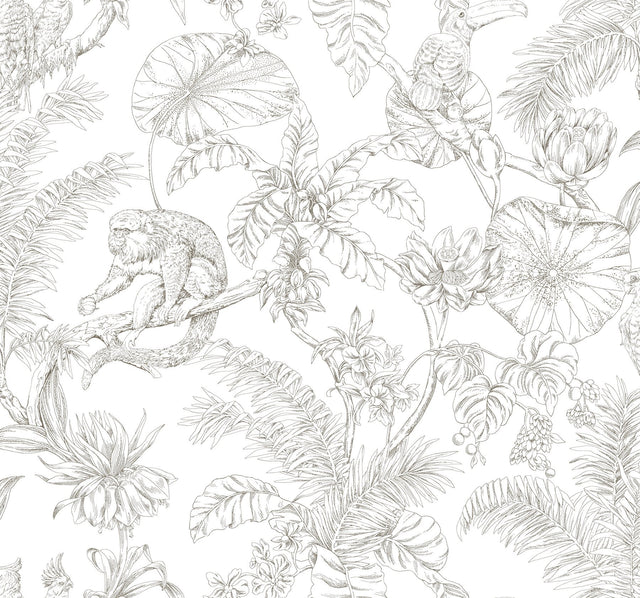 Tropical Sketch Toile Brown Wallpaper with Eclectic Toile Pattern - York RT7843