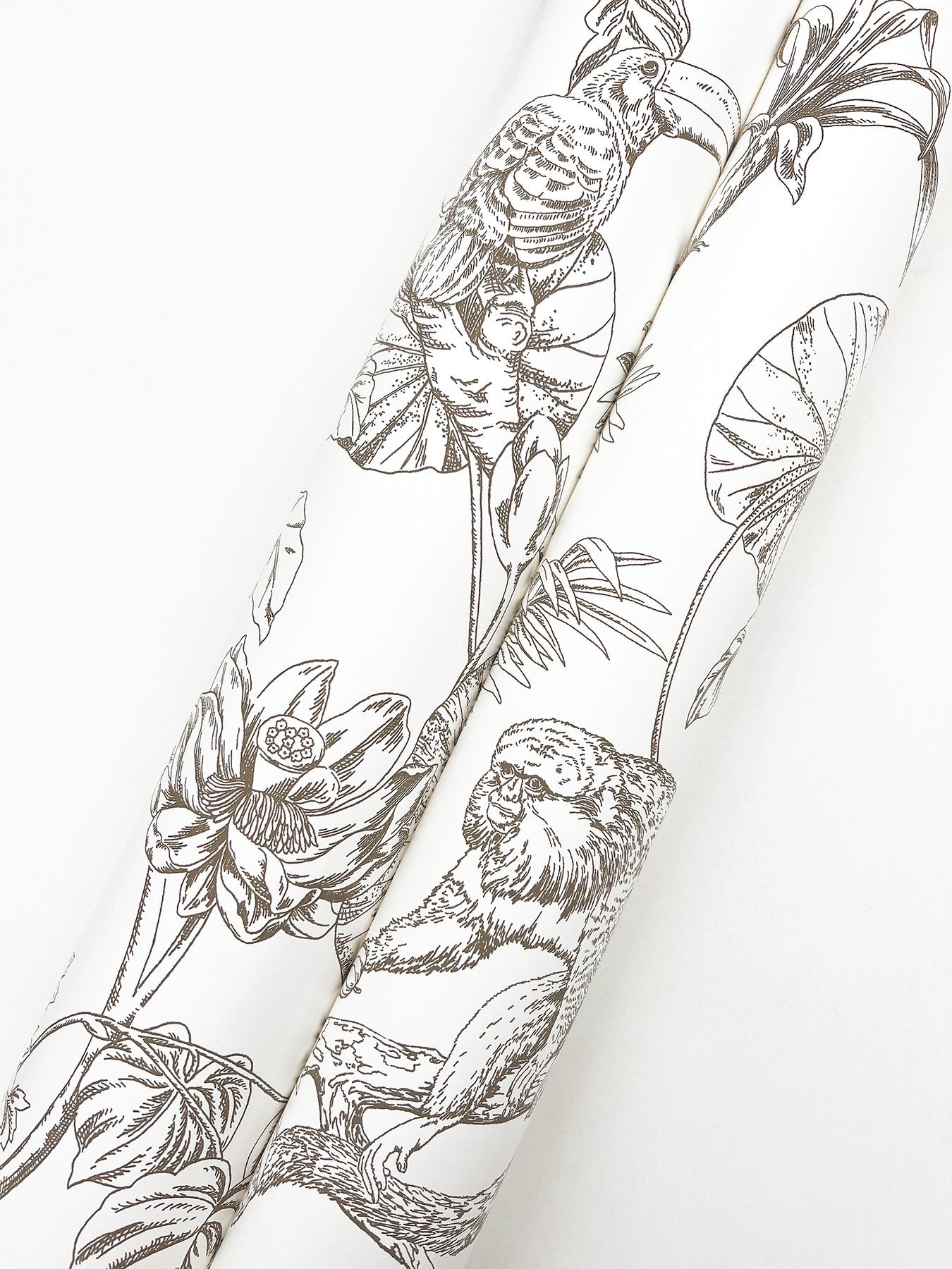 Tropical Sketch Toile Brown Wallpaper with Eclectic Toile Pattern - York RT7843