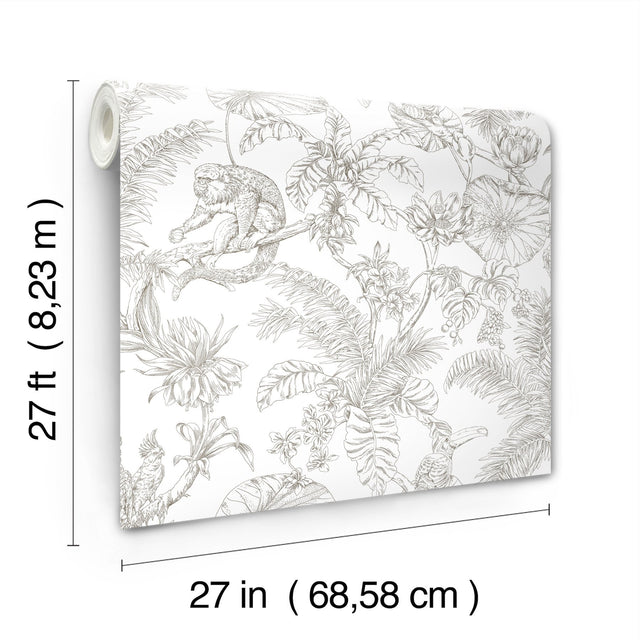 Tropical Sketch Toile Brown Wallpaper with Eclectic Toile Pattern - York RT7843