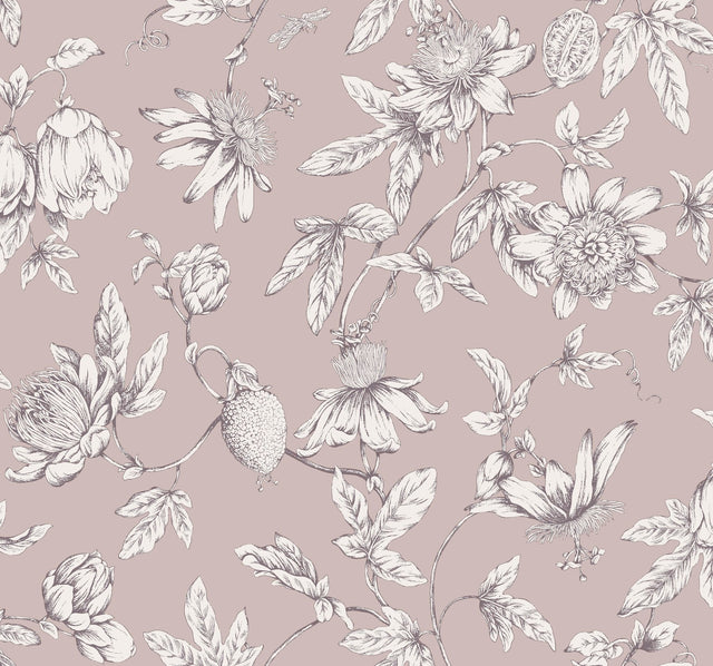 Passion Flower Toile Orchid Wallpaper with Traditional Toile Floral Pattern - York RT7851