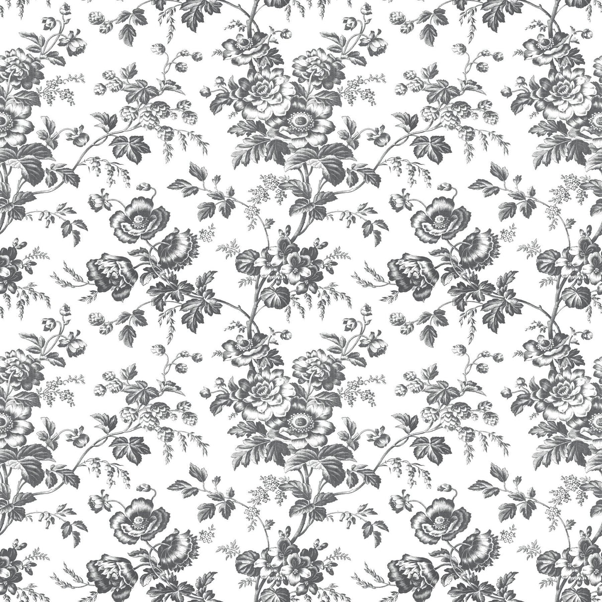 Anemone Toile Black Wallpaper with Traditional Toile Floral Motif - York RT7875