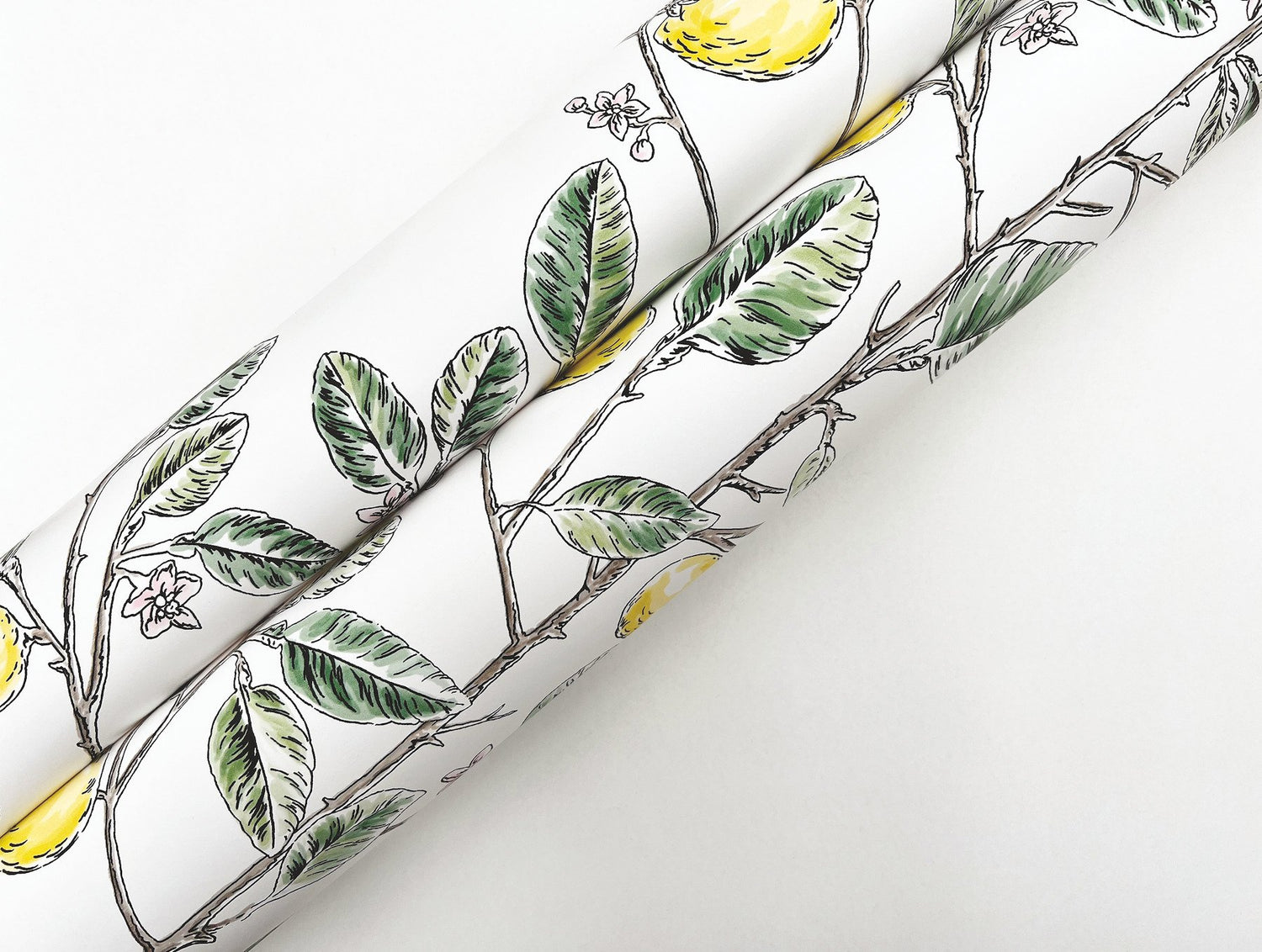 Limoncello Toile Green Wallpaper with Modern Toile Botanical Pattern - York RT7911
