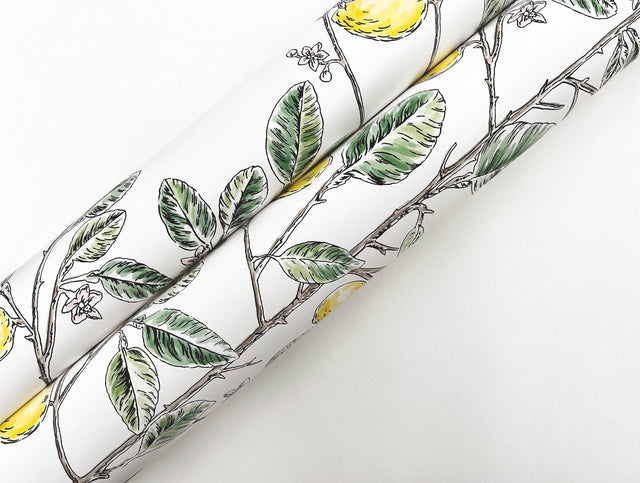 Limoncello Toile Green Wallpaper with Modern Toile Botanical Pattern - York RT7911