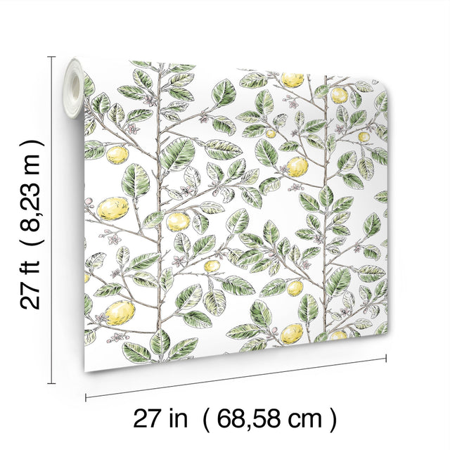Limoncello Toile Green Wallpaper with Modern Toile Botanical Pattern - York RT7911