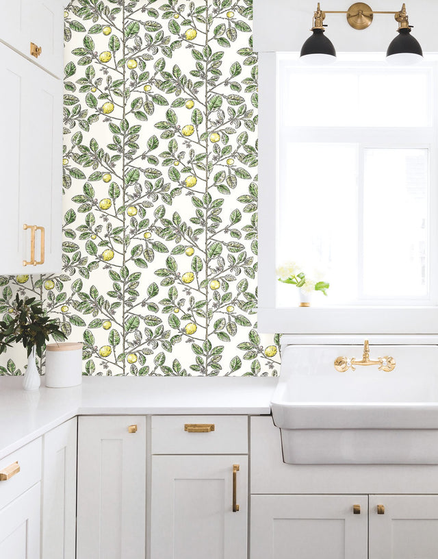 Limoncello Toile Green Wallpaper with Modern Toile Botanical Pattern - York RT7911