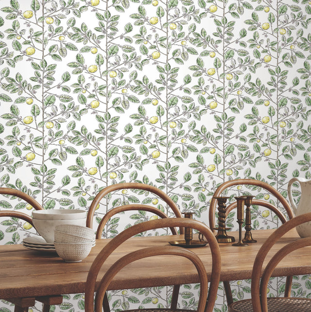 Limoncello Toile Green Wallpaper with Modern Toile Botanical Pattern - York RT7911