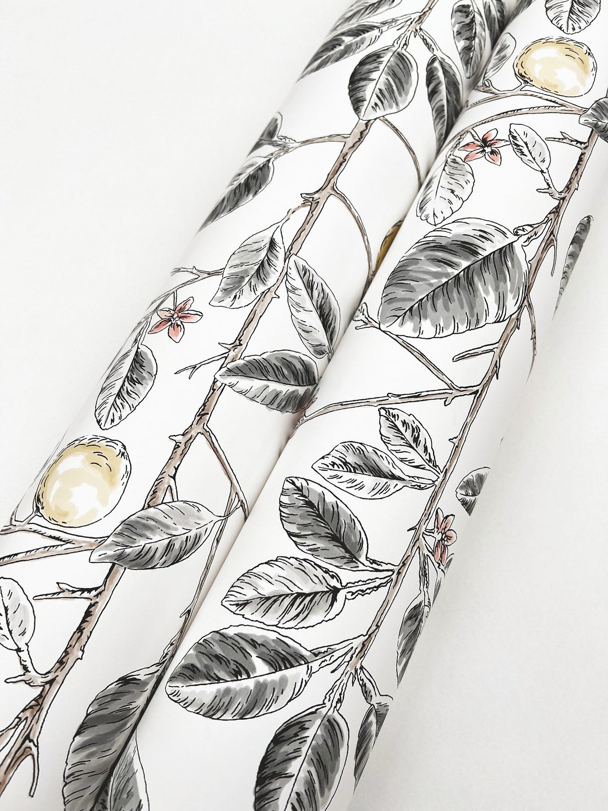 Limoncello Toile Black Wallpaper with Modern Botanical Toile Pattern - York RT7912