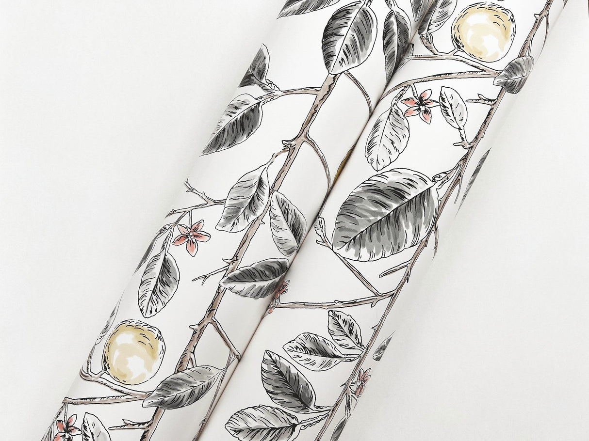 Limoncello Toile Black Wallpaper with Modern Botanical Toile Pattern - York RT7912