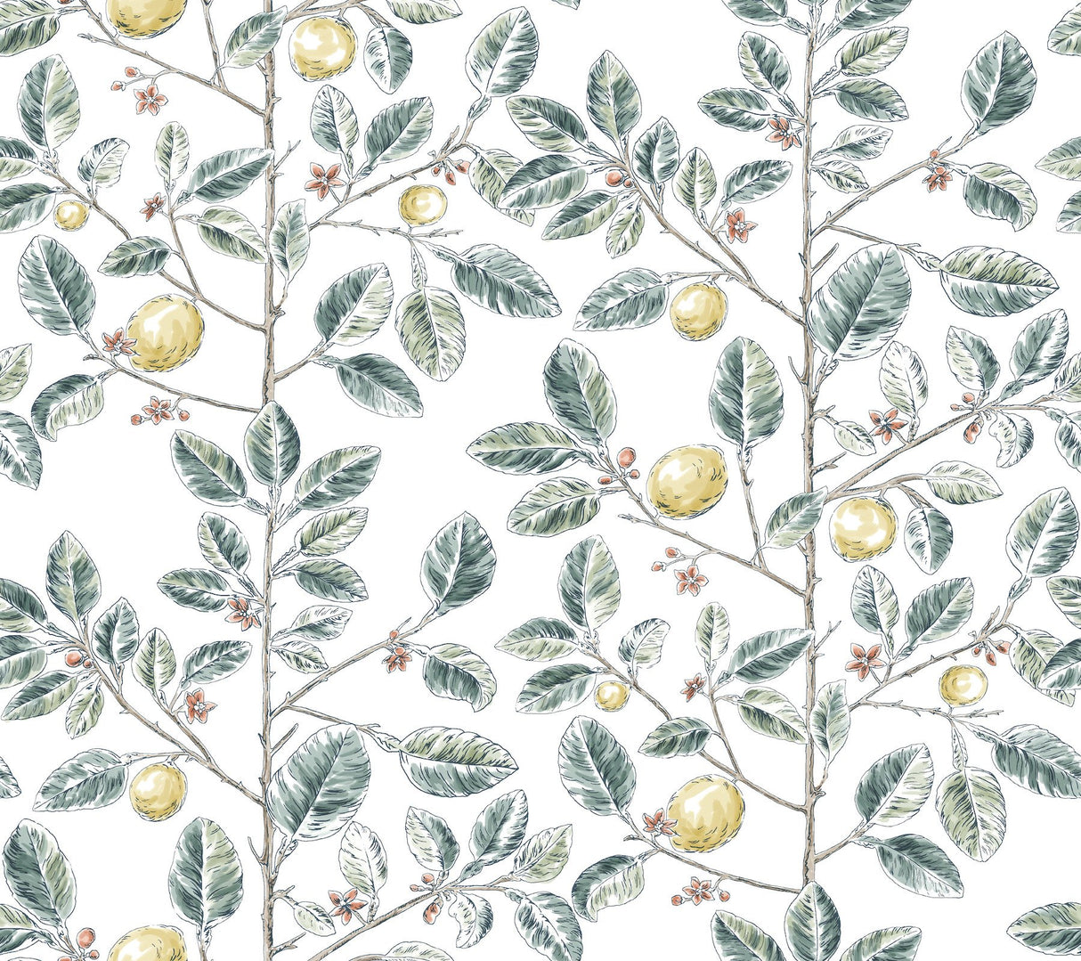 Limoncello Toile Forest Wallpaper with Modern Toile Botanical Motif - York RT7914