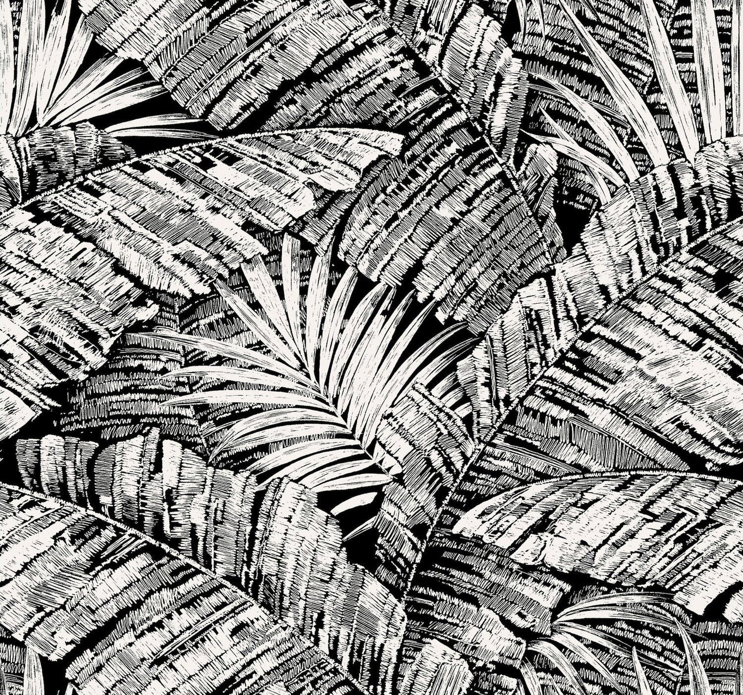 Palm Cove Toile White & Black Wallpaper with Tropical Toile Palm Fronds - York RT7921