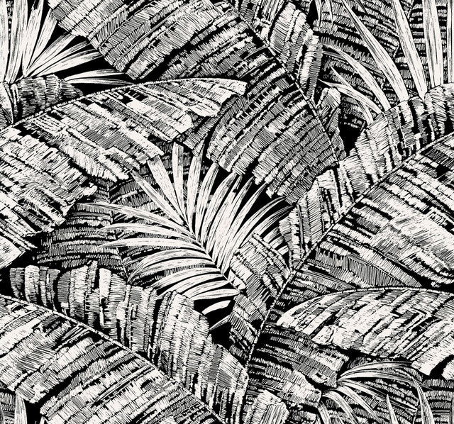 Palm Cove Toile White & Black Wallpaper with Tropical Toile Palm Fronds - York RT7921