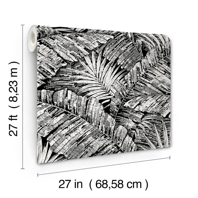 Palm Cove Toile White & Black Wallpaper with Tropical Toile Palm Fronds - York RT7921