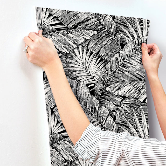 Palm Cove Toile White & Black Wallpaper with Tropical Toile Palm Fronds - York RT7921
