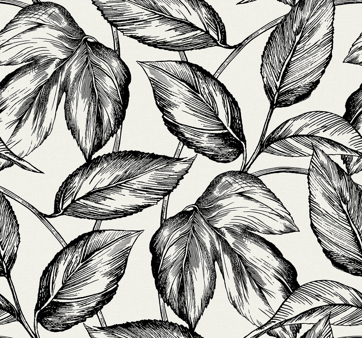 Black sketched leaf botanical wallpaper pattern on a light background