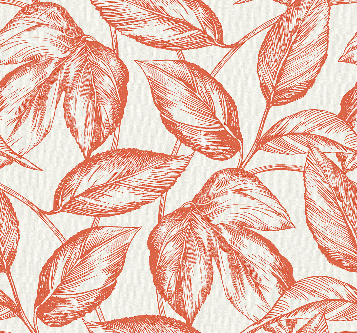Beckett Sketched Leaves wallpaper in Rich Coral by Seabrook Designs