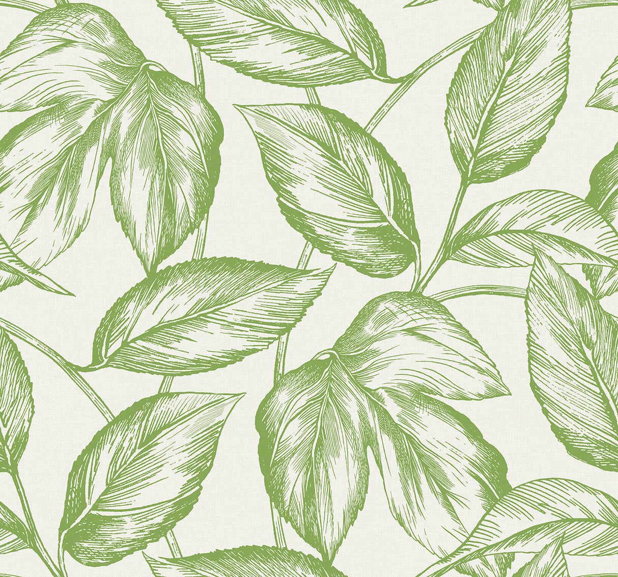 Beckett Sketched Leaves wallpaper in Apple Green featuring a sketched leaf botanical pattern on a light background