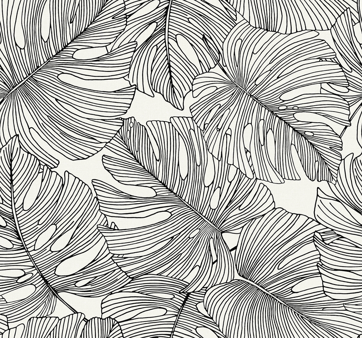 Black and white monstera leaf tropical botanical wallpaper pattern