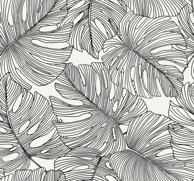 Black and white monstera leaf tropical botanical wallpaper pattern