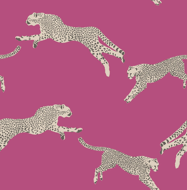 Leaping Cheetah Bubblegum Peel & Stick Wallpaper with Novelty Animal Pattern, Feature Wall Style - SCS4276