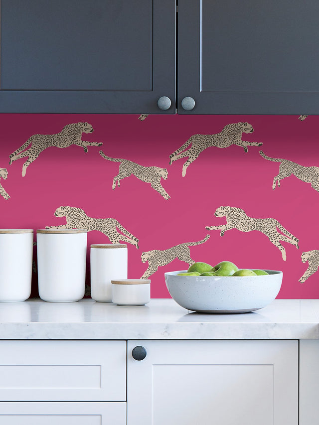 Leaping Cheetah Bubblegum Peel & Stick Wallpaper with Novelty Animal Pattern, Feature Wall Style - SCS4276