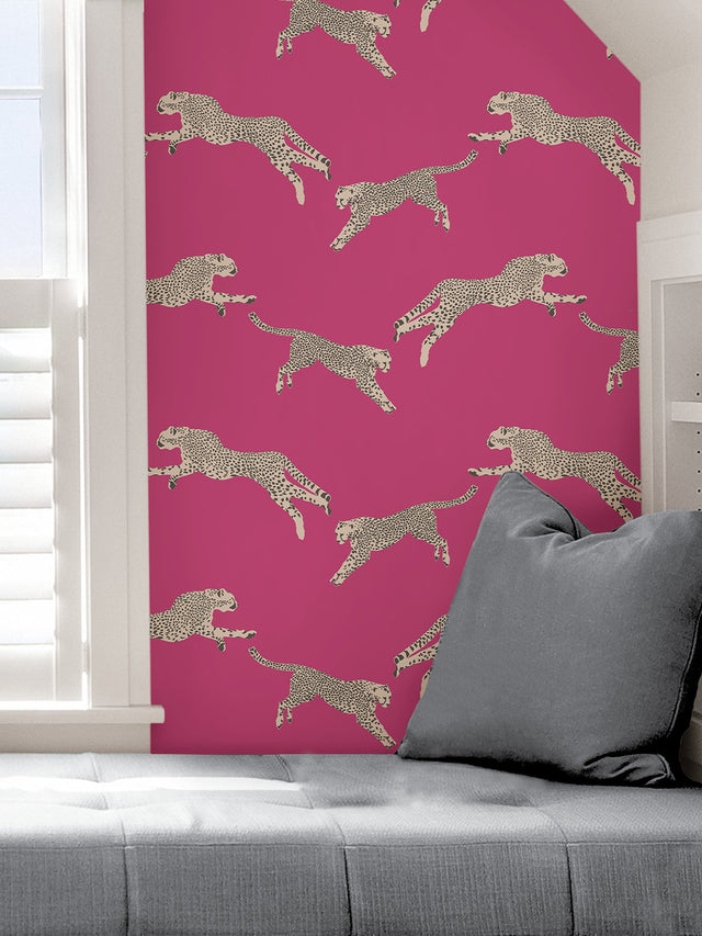Leaping Cheetah Bubblegum Peel & Stick Wallpaper with Novelty Animal Pattern, Feature Wall Style - SCS4276