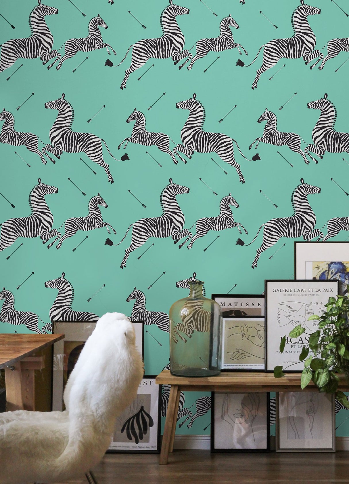 Zebra Safari Aqua Peel & Stick Wallpaper with Zebra Print Motif, Transitional Style - NuWallpaper SCS6055