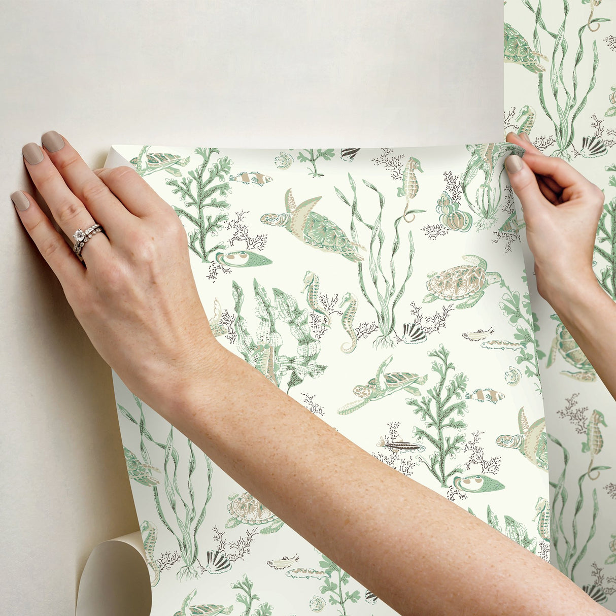 Garparilla Jade & Sandstone Peel & Stick Wallpaper with Coastal Sea Turtle Toile - Brewster SCS6056