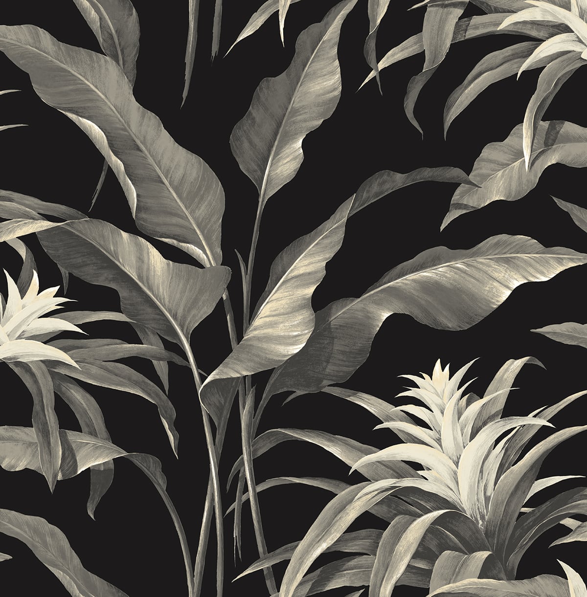Palma peel and stick wallpaper in Onyx & Alloy with tropical botanical leaves on a black background