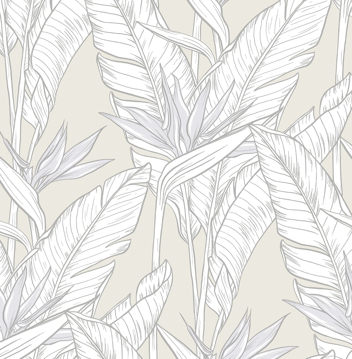 Pearl grey peel and stick wallpaper with metallic silver birds of paradise tropical leaf and flower linework.