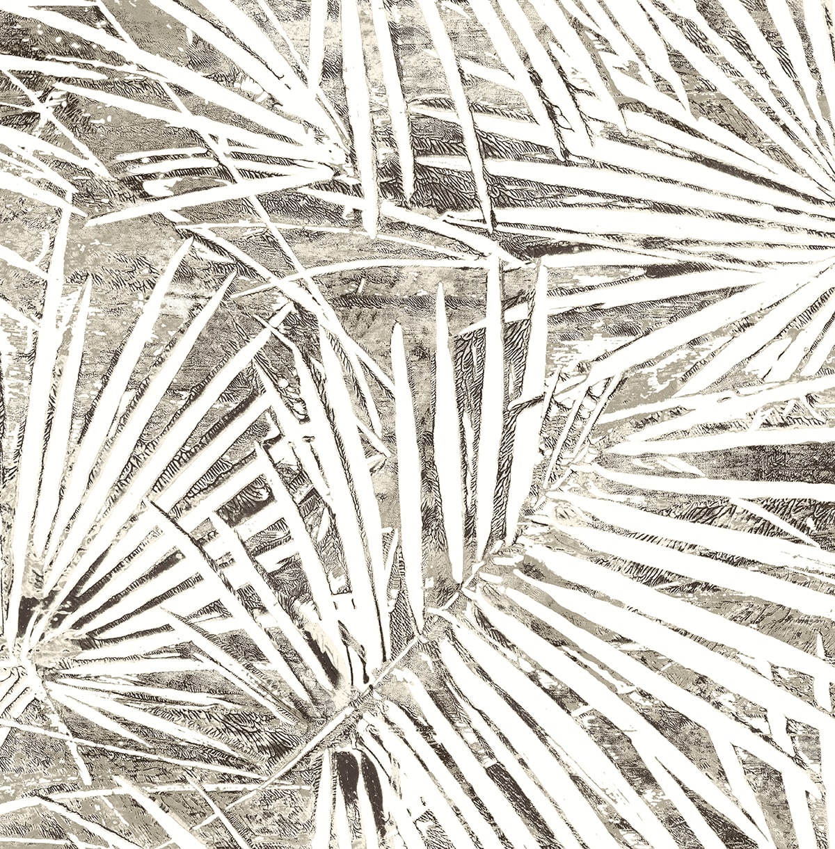 Fossil Palm in Pavestone, a grey palm-leaf botanical peel and stick wallpaper pattern